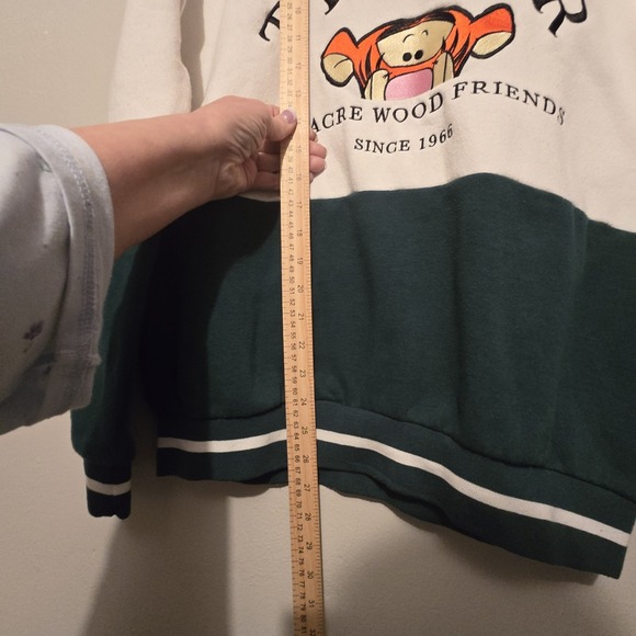 Disney Tigger Winnie The Pooh 100 Acre Wood Sweatshirt Women's SM Embroidered - Picture 9 of 11